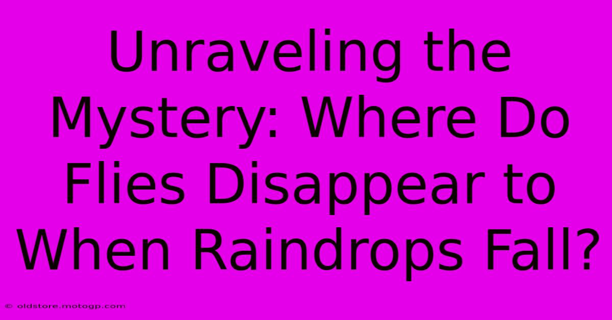 Unraveling The Mystery: Where Do Flies Disappear To When Raindrops Fall?