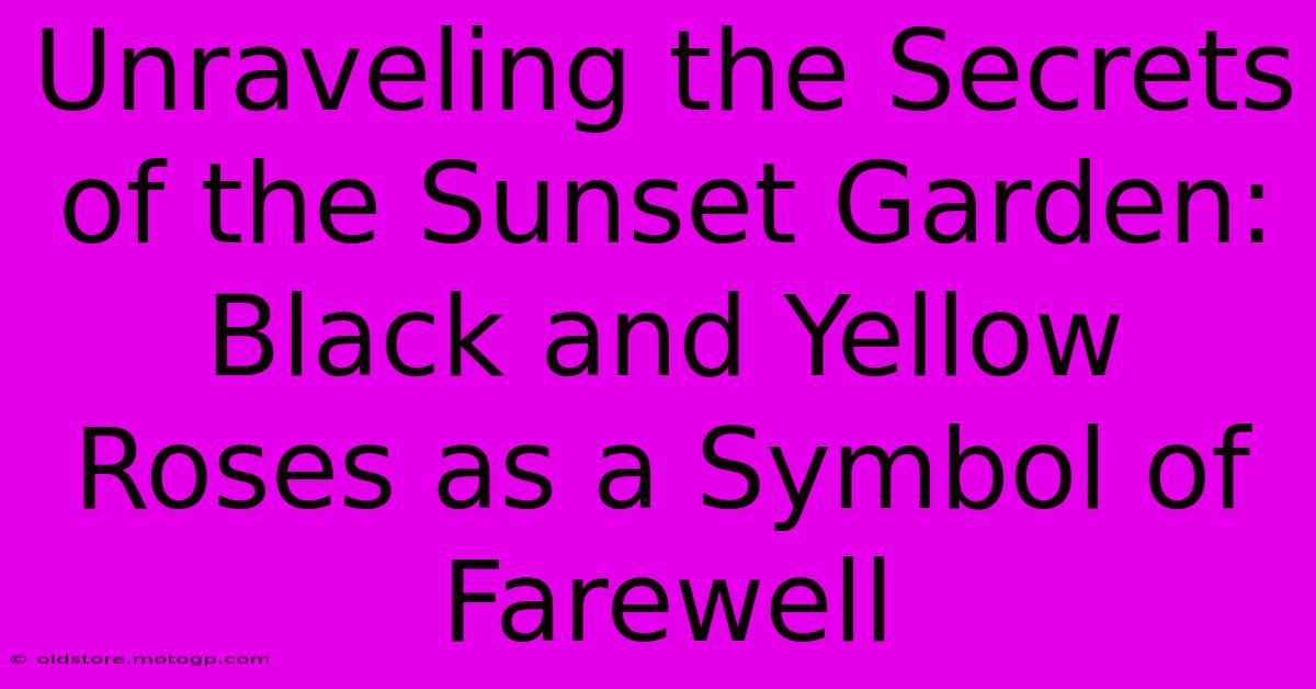 Unraveling The Secrets Of The Sunset Garden: Black And Yellow Roses As A Symbol Of Farewell