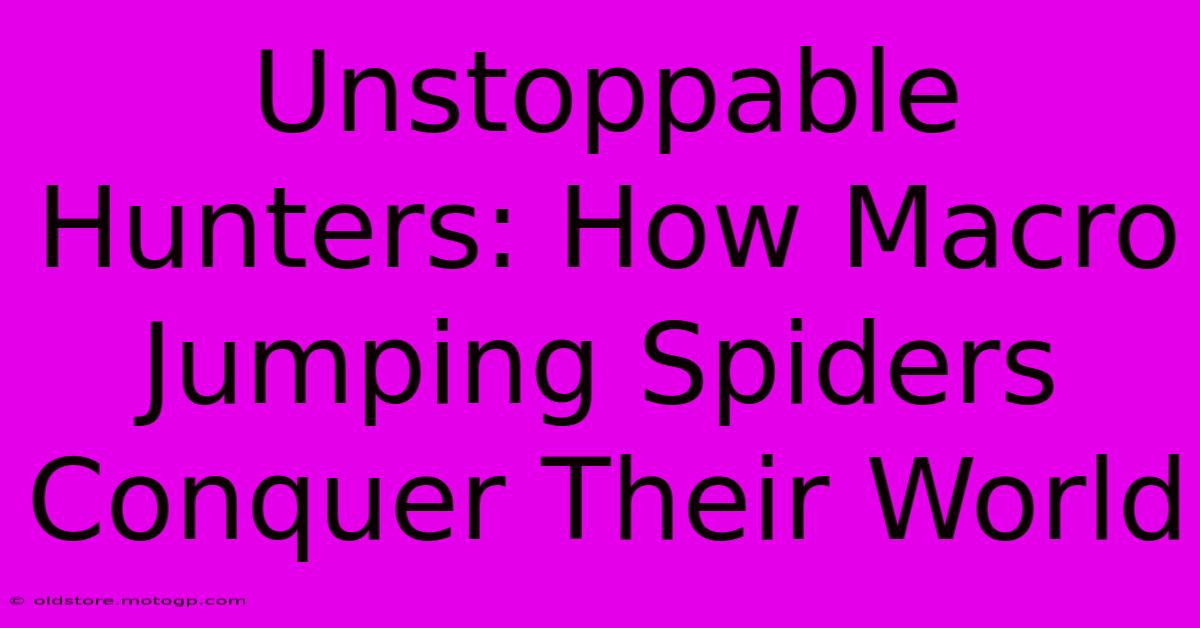 Unstoppable Hunters: How Macro Jumping Spiders Conquer Their World