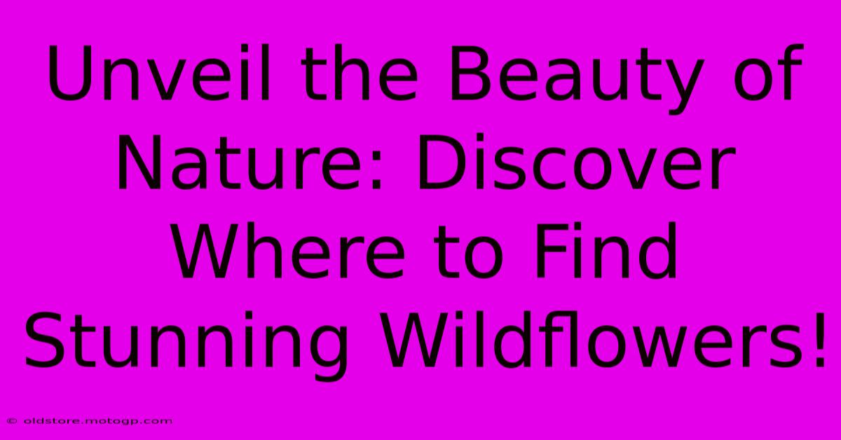 Unveil The Beauty Of Nature: Discover Where To Find Stunning Wildflowers!