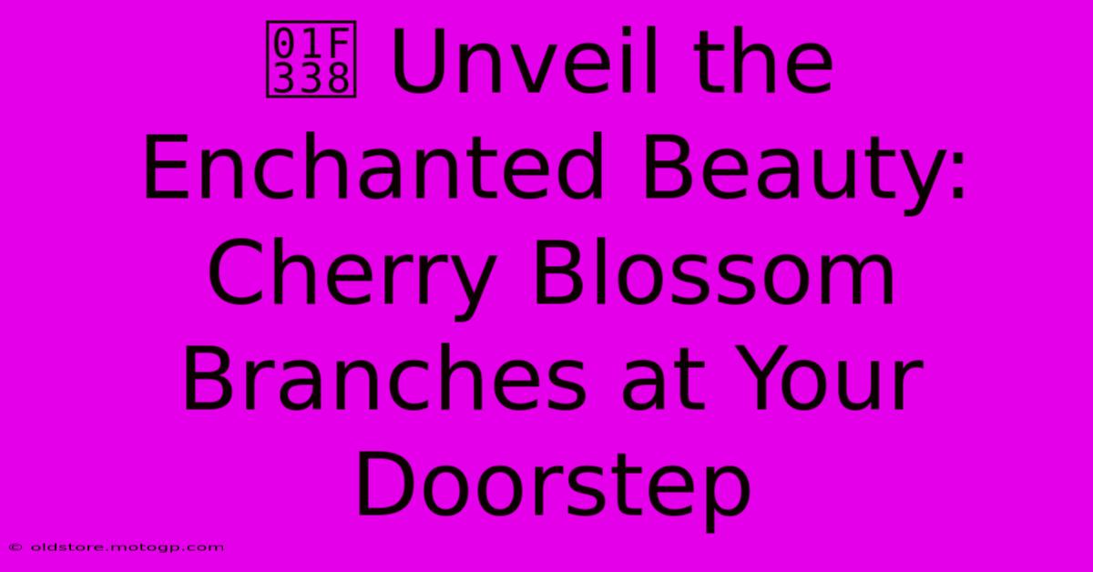 🌸 Unveil The Enchanted Beauty: Cherry Blossom Branches At Your Doorstep