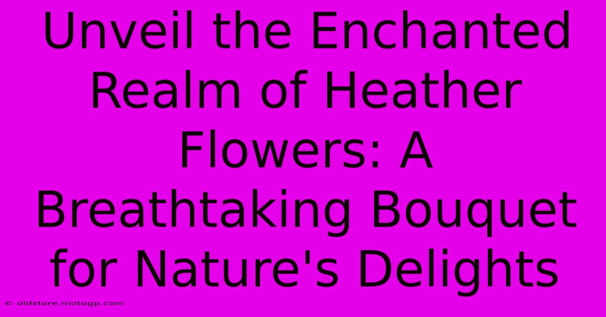 Unveil The Enchanted Realm Of Heather Flowers: A Breathtaking Bouquet For Nature's Delights