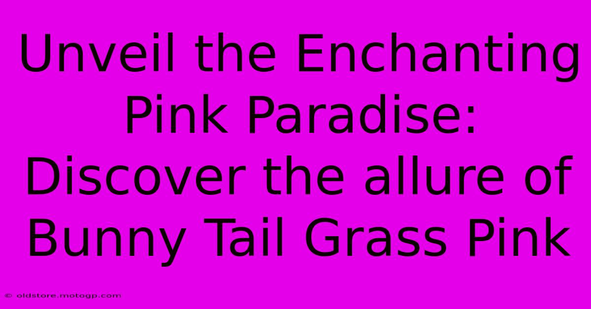 Unveil The Enchanting Pink Paradise: Discover The Allure Of Bunny Tail Grass Pink