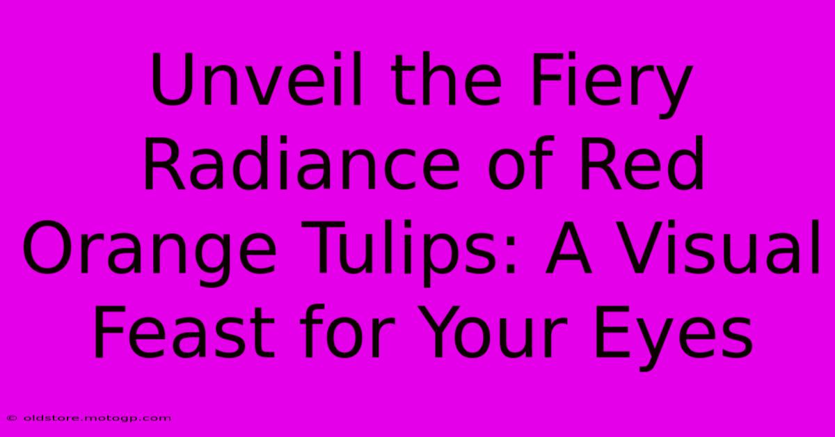 Unveil The Fiery Radiance Of Red Orange Tulips: A Visual Feast For Your Eyes