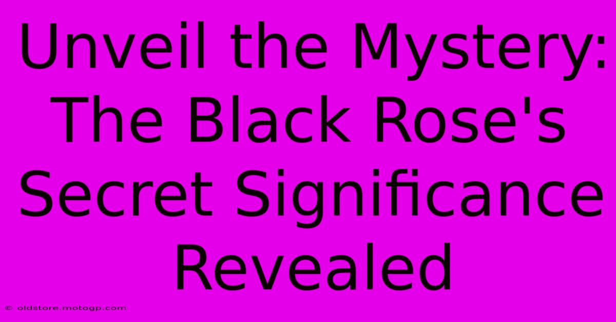 Unveil The Mystery: The Black Rose's Secret Significance Revealed