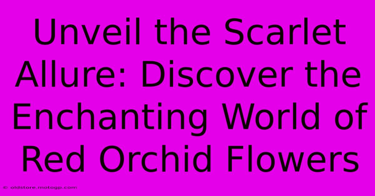 Unveil The Scarlet Allure: Discover The Enchanting World Of Red Orchid Flowers