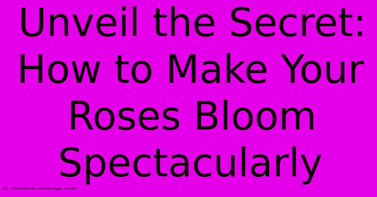 Unveil The Secret: How To Make Your Roses Bloom Spectacularly