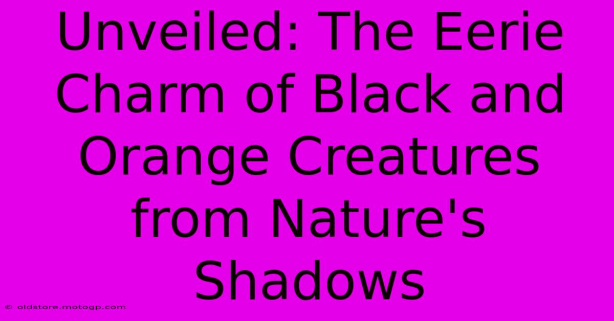 Unveiled: The Eerie Charm Of Black And Orange Creatures From Nature's Shadows