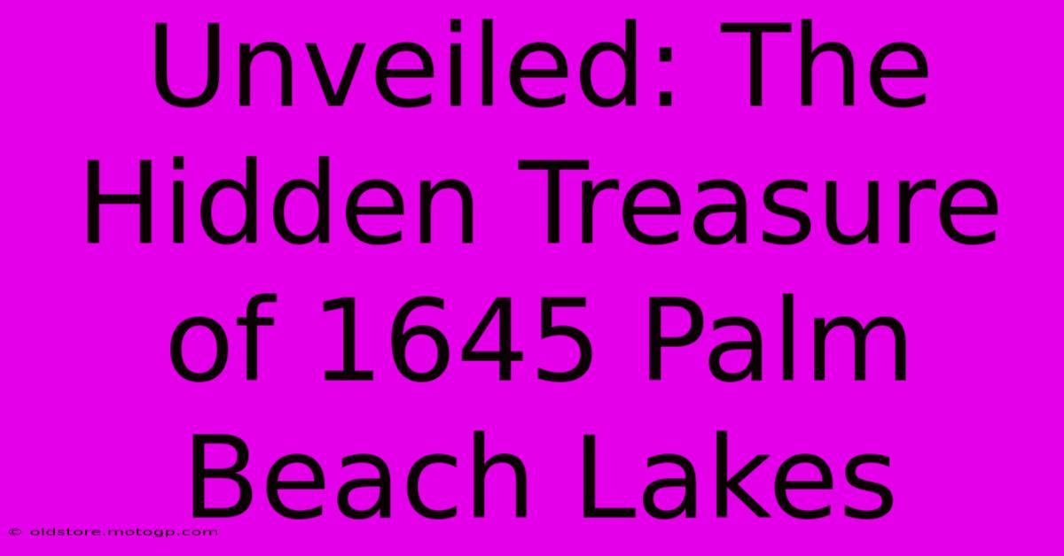 Unveiled: The Hidden Treasure Of 1645 Palm Beach Lakes