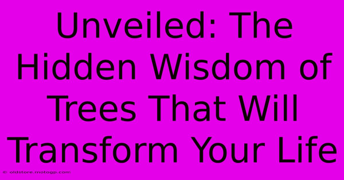 Unveiled: The Hidden Wisdom Of Trees That Will Transform Your Life