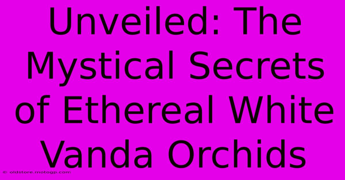 Unveiled: The Mystical Secrets Of Ethereal White Vanda Orchids