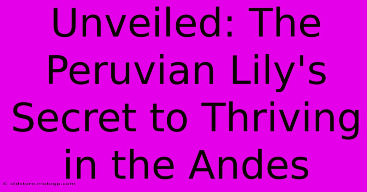 Unveiled: The Peruvian Lily's Secret To Thriving In The Andes