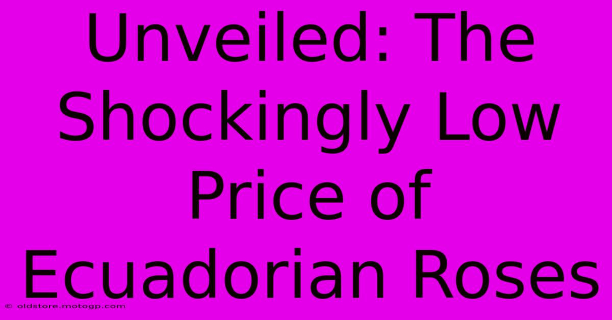 Unveiled: The Shockingly Low Price Of Ecuadorian Roses