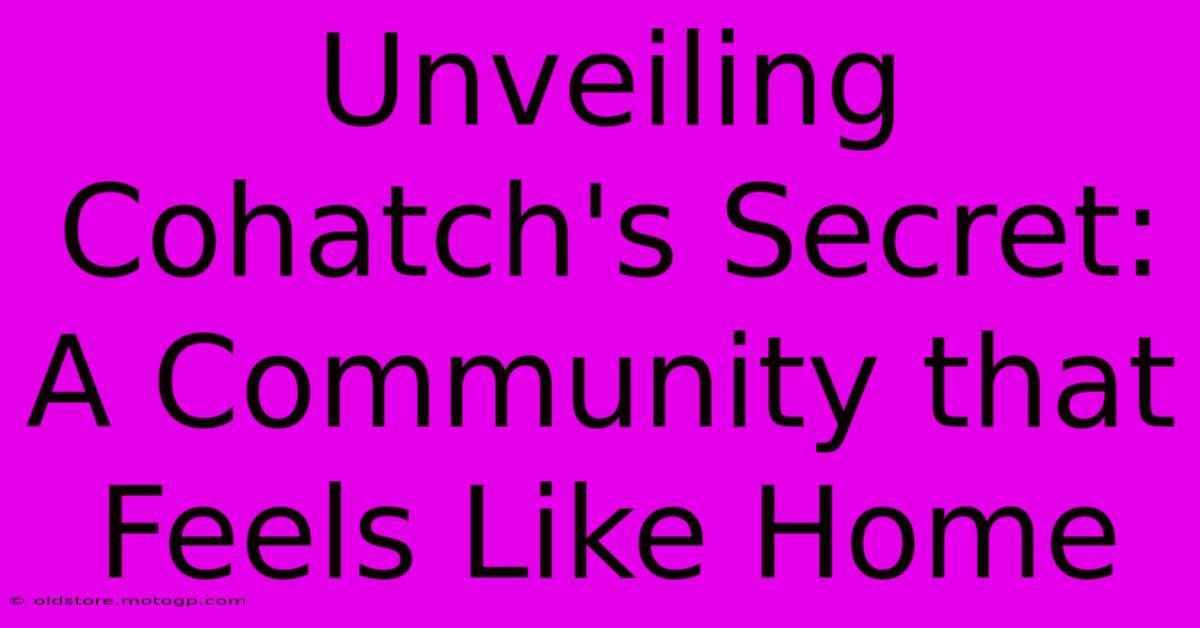 Unveiling Cohatch's Secret: A Community That Feels Like Home