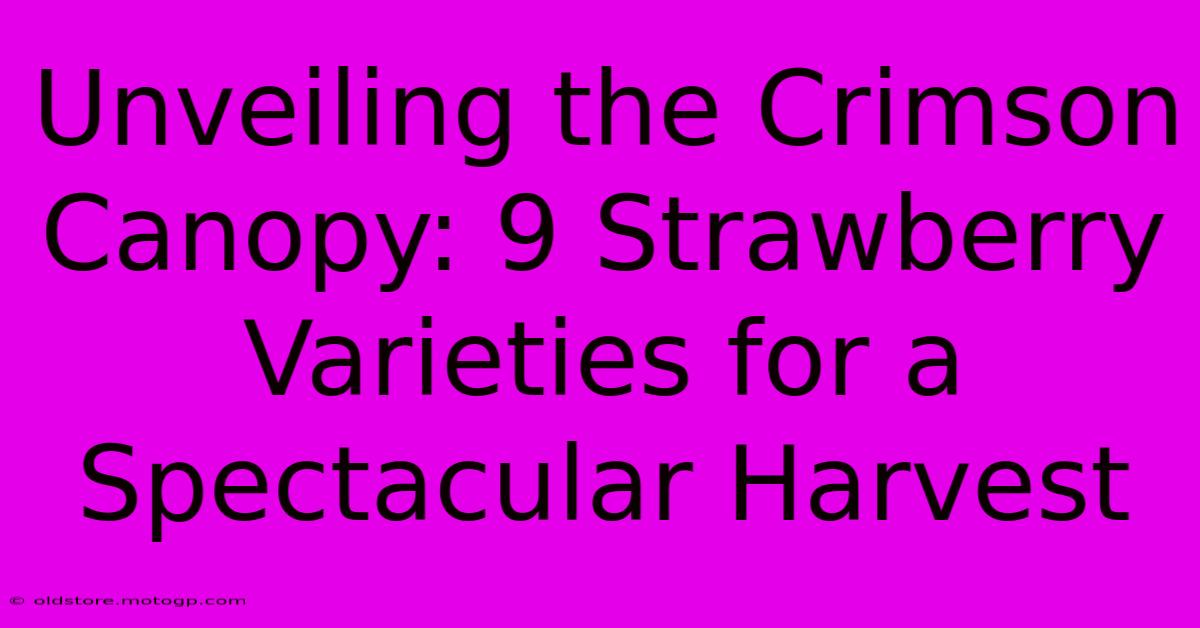 Unveiling The Crimson Canopy: 9 Strawberry Varieties For A Spectacular Harvest