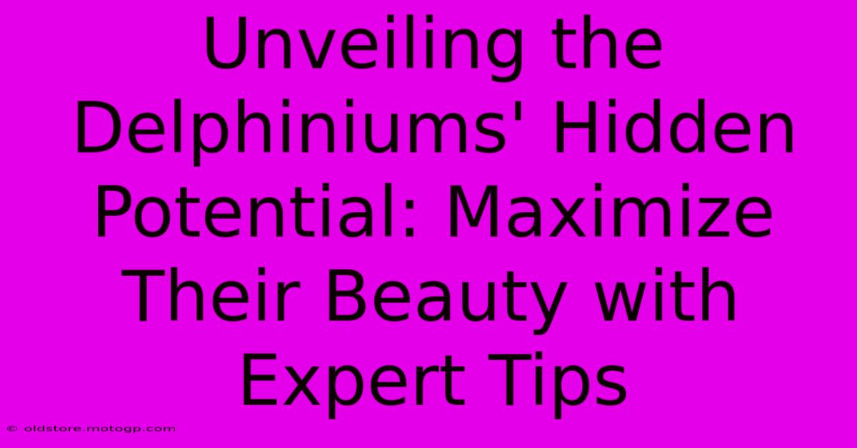 Unveiling The Delphiniums' Hidden Potential: Maximize Their Beauty With Expert Tips