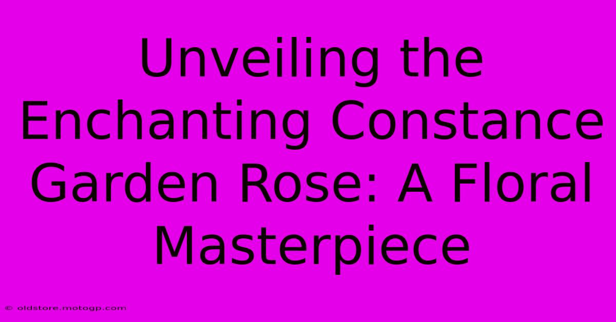 Unveiling The Enchanting Constance Garden Rose: A Floral Masterpiece