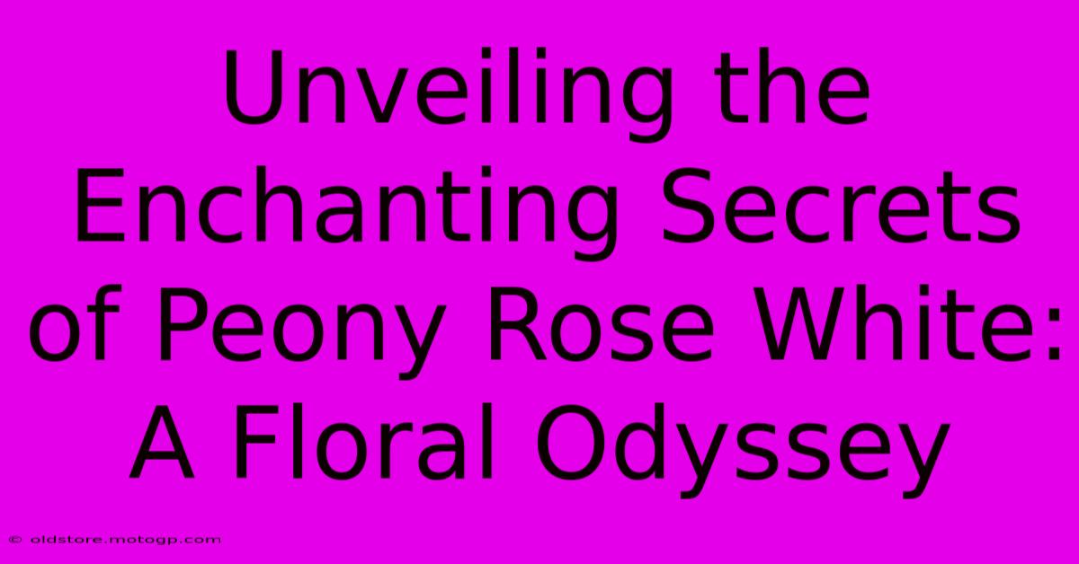 Unveiling The Enchanting Secrets Of Peony Rose White: A Floral Odyssey