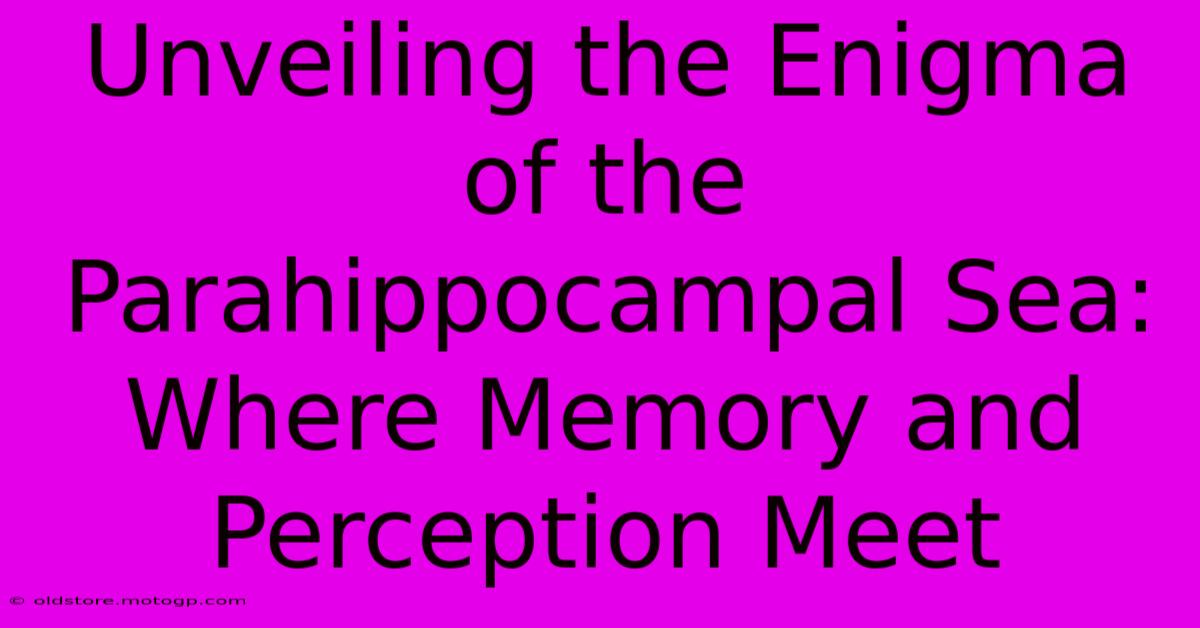 Unveiling The Enigma Of The Parahippocampal Sea: Where Memory And Perception Meet