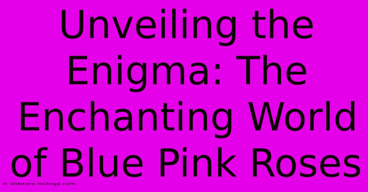 Unveiling The Enigma: The Enchanting World Of Blue Pink Roses