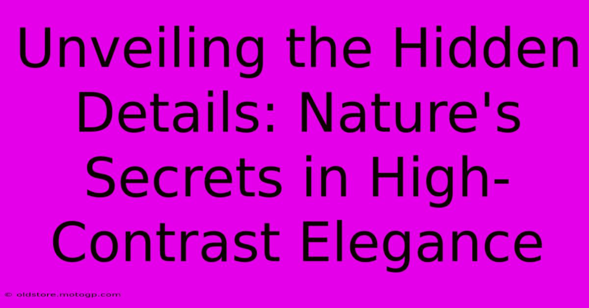 Unveiling The Hidden Details: Nature's Secrets In High-Contrast Elegance