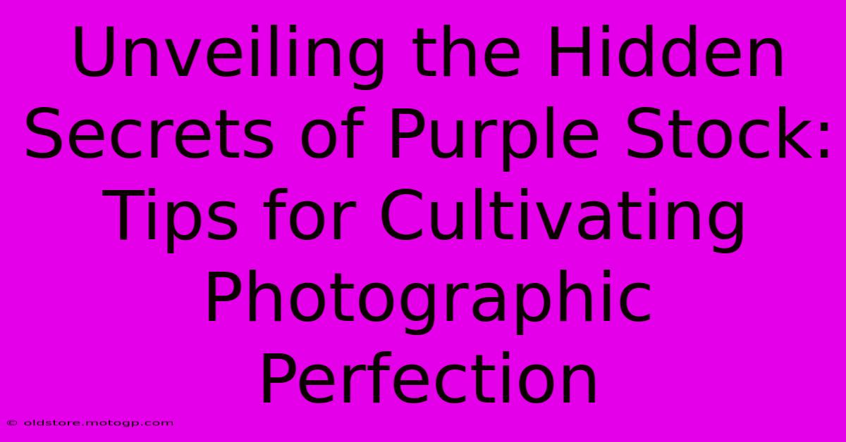 Unveiling The Hidden Secrets Of Purple Stock: Tips For Cultivating Photographic Perfection