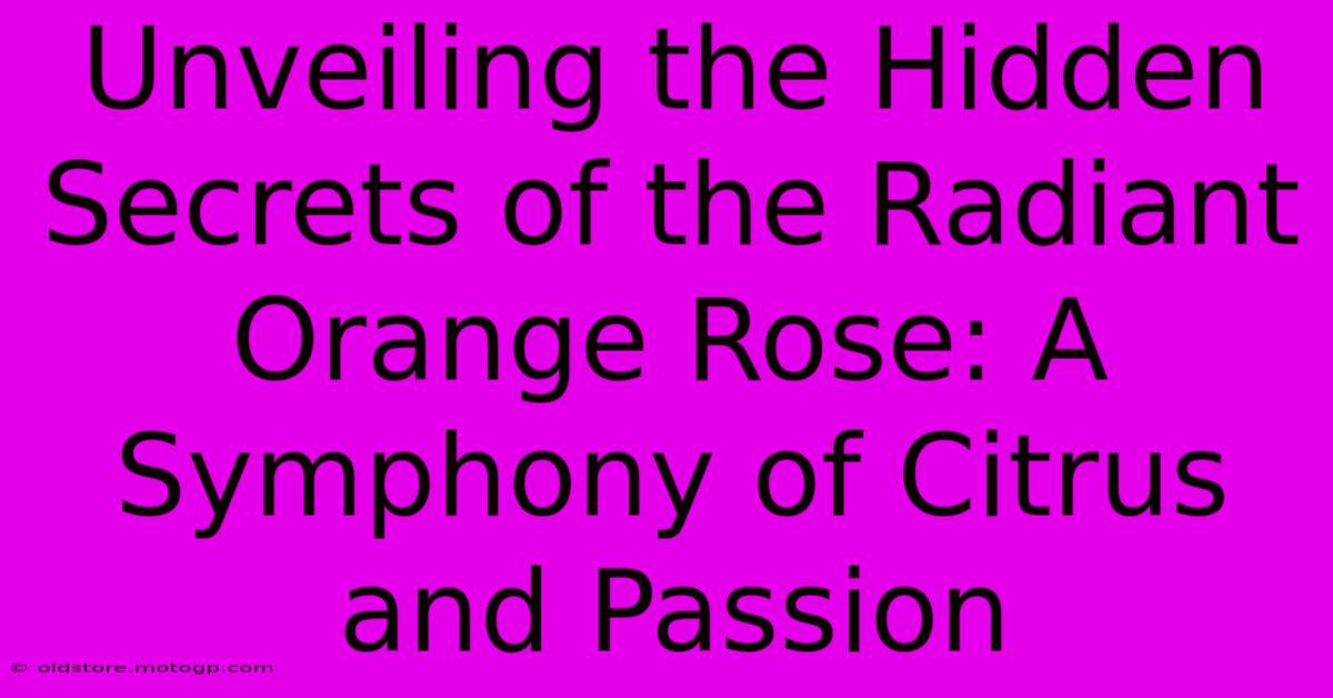 Unveiling The Hidden Secrets Of The Radiant Orange Rose: A Symphony Of Citrus And Passion