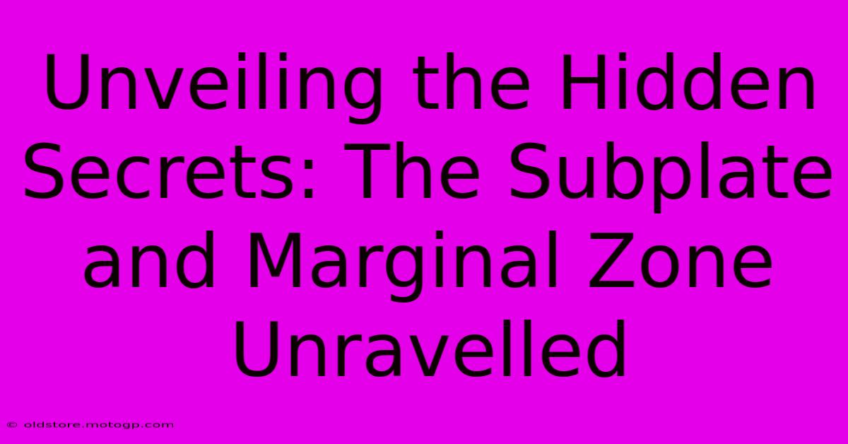 Unveiling The Hidden Secrets: The Subplate And Marginal Zone Unravelled