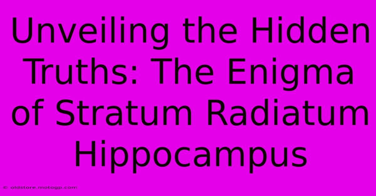 Unveiling The Hidden Truths: The Enigma Of Stratum Radiatum Hippocampus