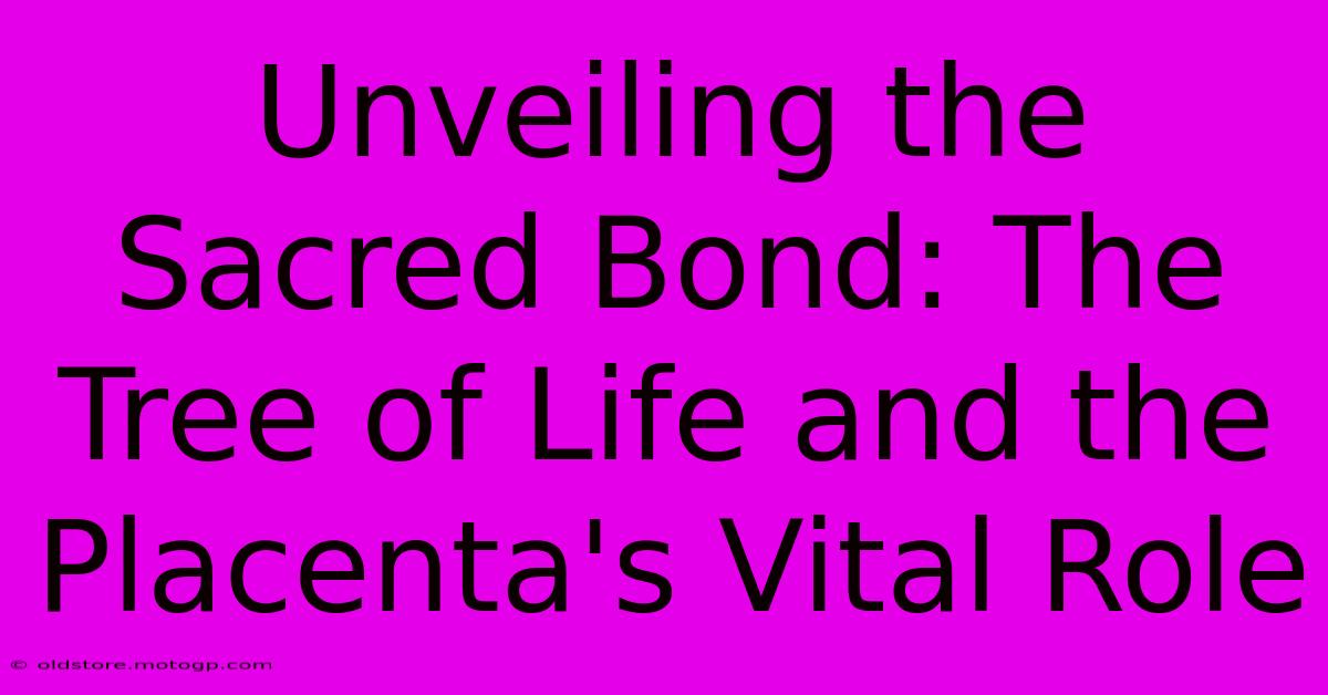 Unveiling The Sacred Bond: The Tree Of Life And The Placenta's Vital Role