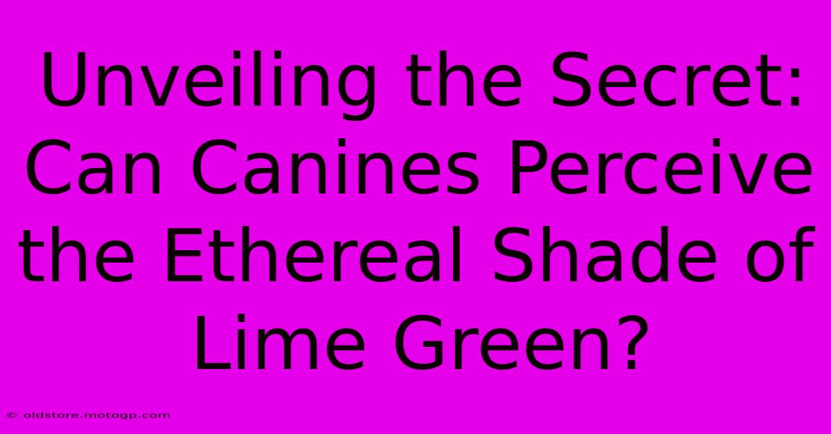 Unveiling The Secret: Can Canines Perceive The Ethereal Shade Of Lime Green?