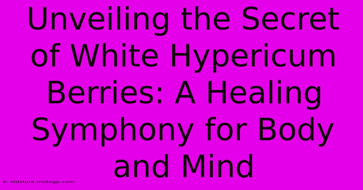 Unveiling The Secret Of White Hypericum Berries: A Healing Symphony For Body And Mind