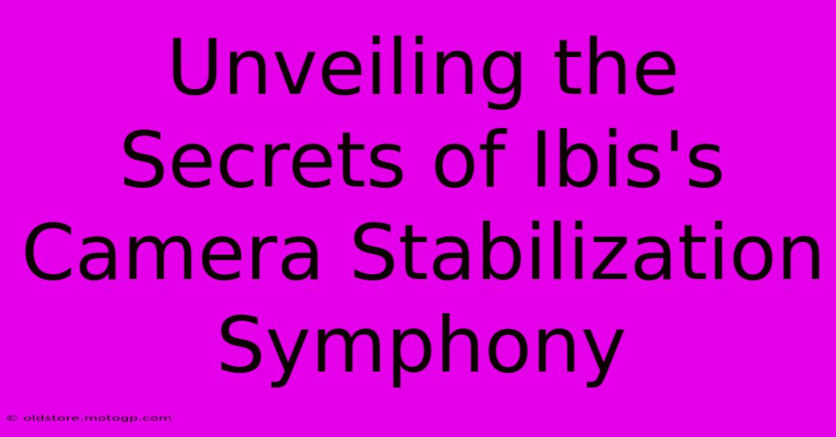 Unveiling The Secrets Of Ibis's Camera Stabilization Symphony