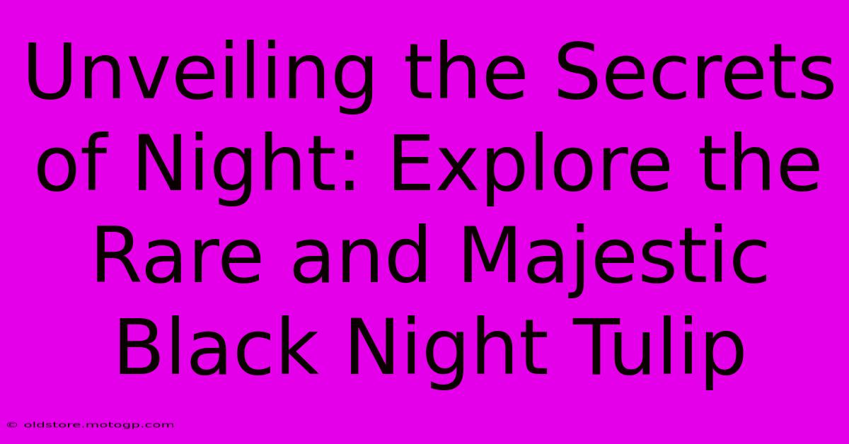 Unveiling The Secrets Of Night: Explore The Rare And Majestic Black Night Tulip