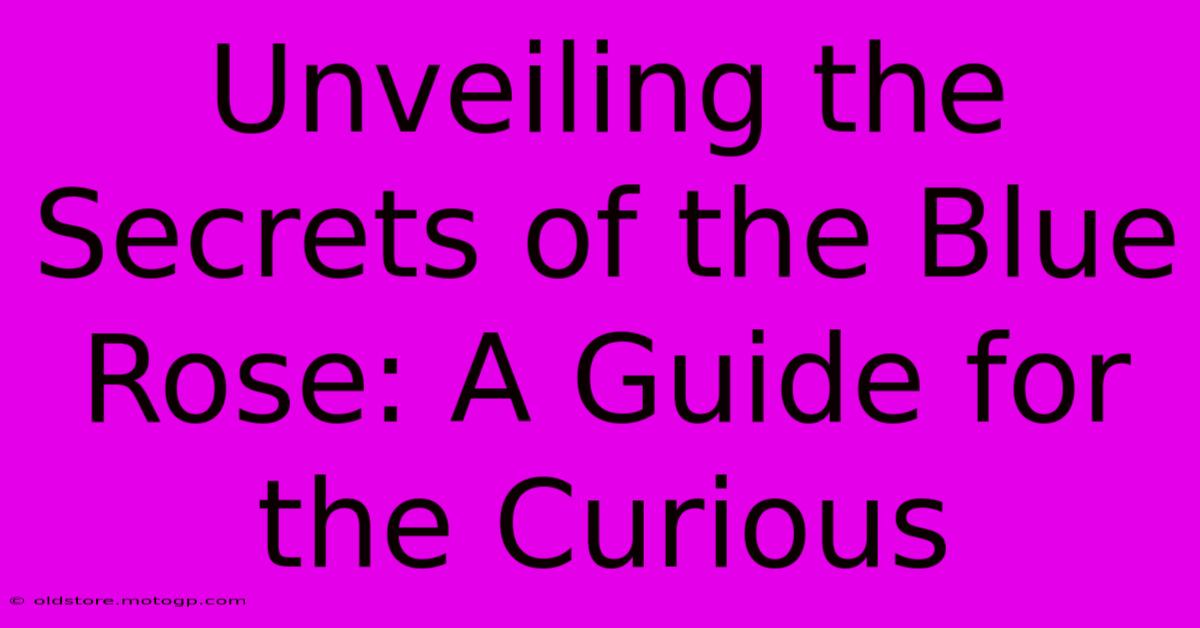 Unveiling The Secrets Of The Blue Rose: A Guide For The Curious