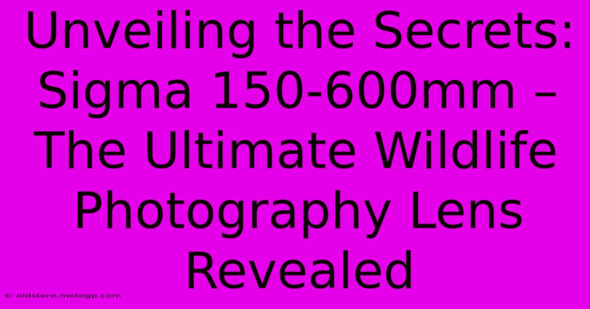 Unveiling The Secrets: Sigma 150-600mm – The Ultimate Wildlife Photography Lens Revealed