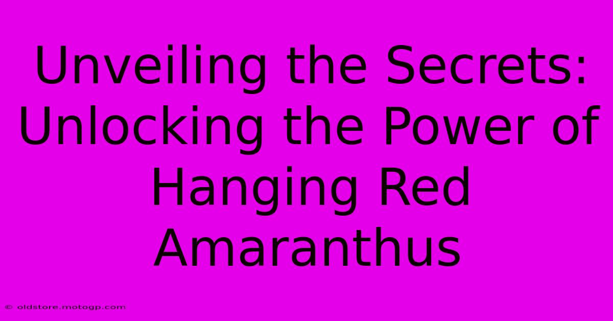 Unveiling The Secrets: Unlocking The Power Of Hanging Red Amaranthus