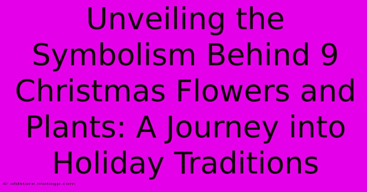 Unveiling The Symbolism Behind 9 Christmas Flowers And Plants: A Journey Into Holiday Traditions