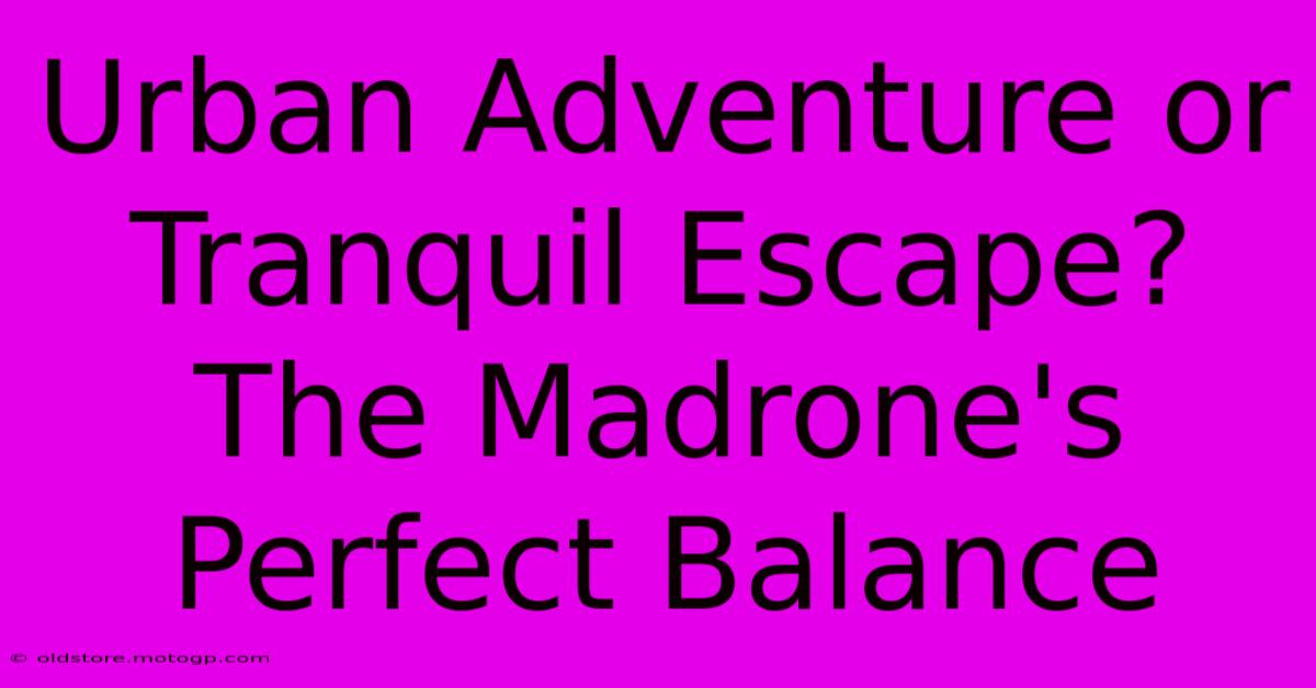 Urban Adventure Or Tranquil Escape? The Madrone's Perfect Balance