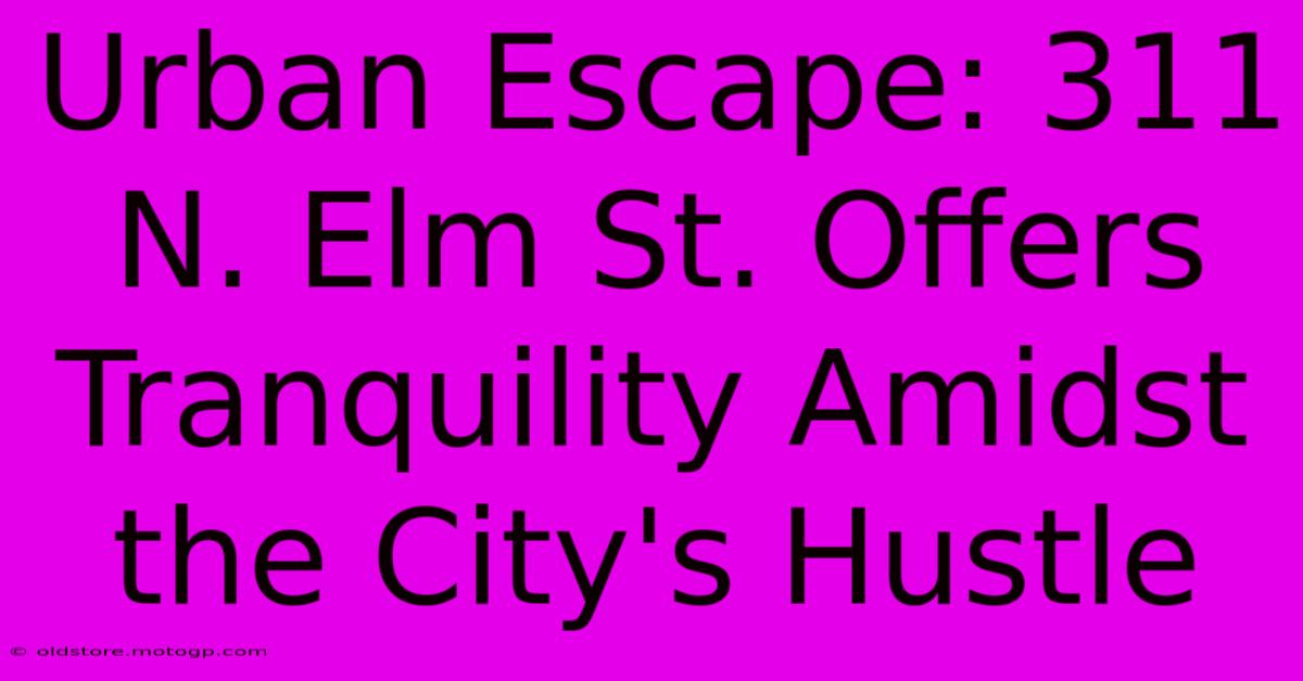 Urban Escape: 311 N. Elm St. Offers Tranquility Amidst The City's Hustle