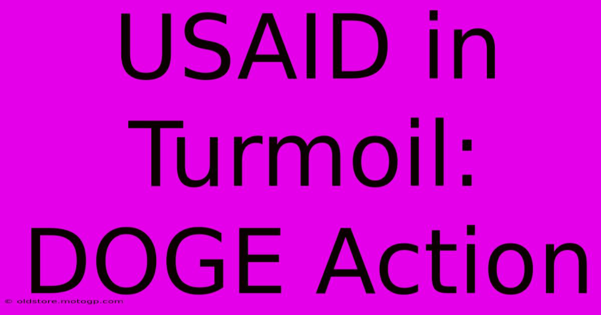 USAID In Turmoil: DOGE Action