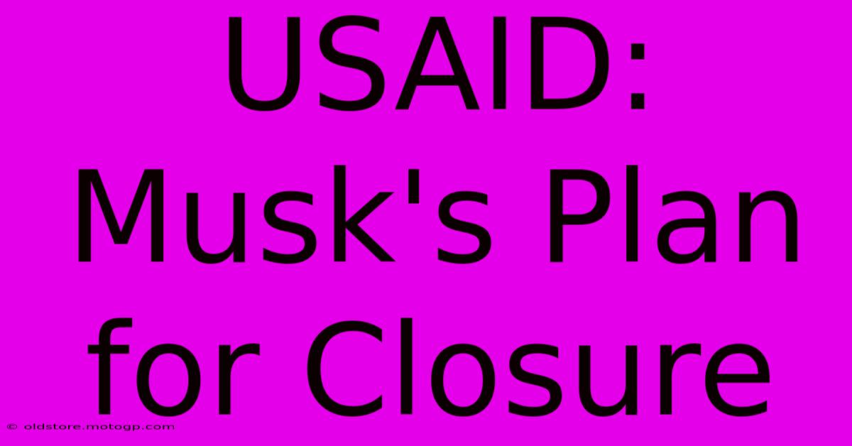 USAID: Musk's Plan For Closure