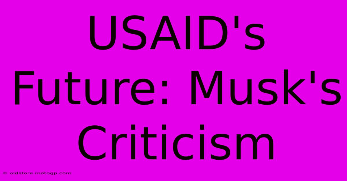 USAID's Future: Musk's Criticism