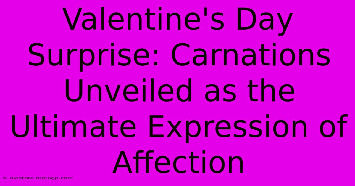 Valentine's Day Surprise: Carnations Unveiled As The Ultimate Expression Of Affection