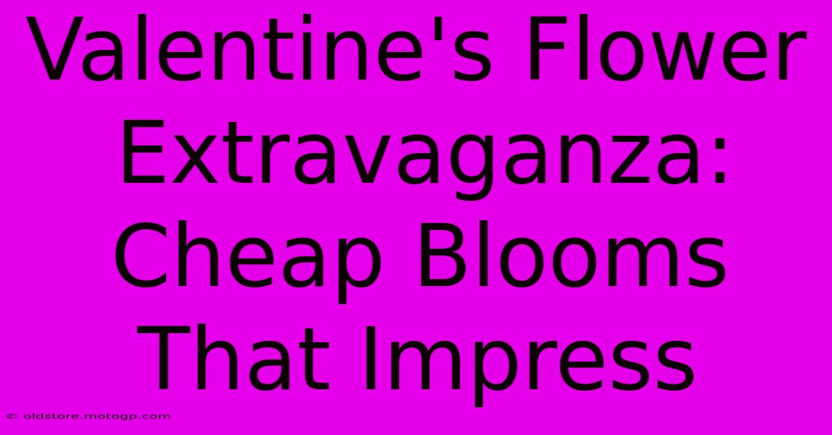 Valentine's Flower Extravaganza: Cheap Blooms That Impress