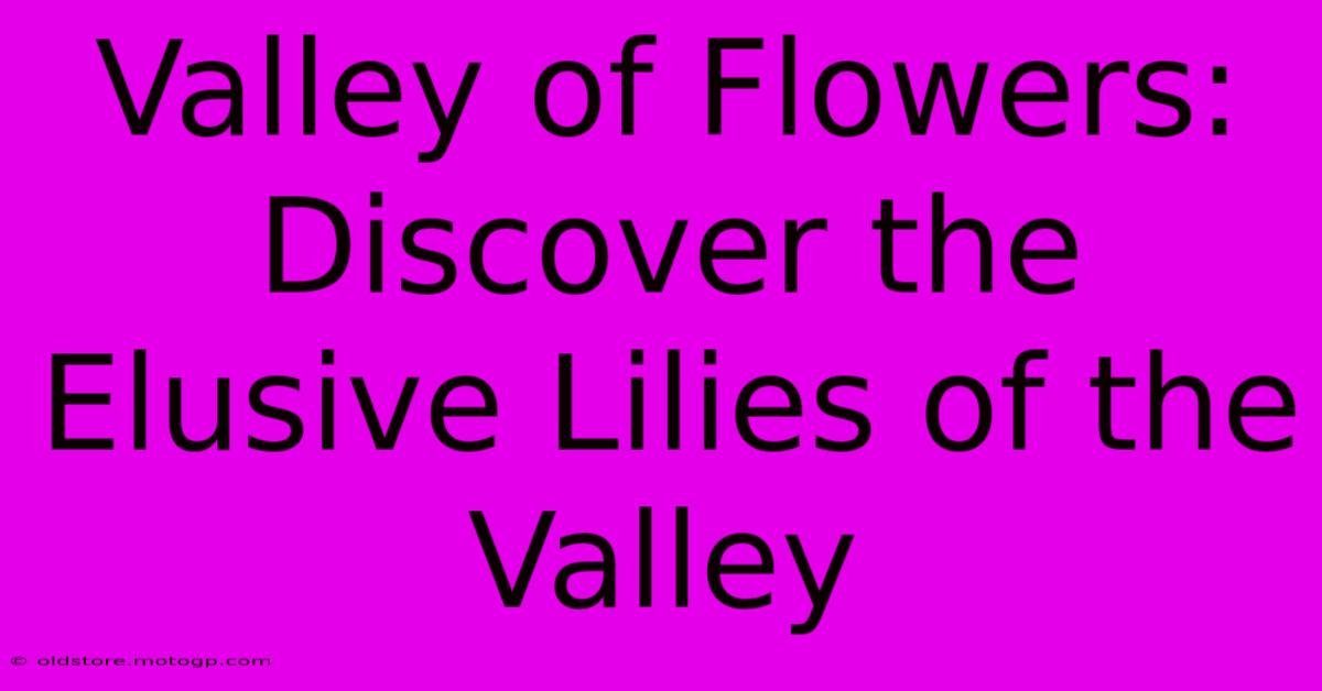 Valley Of Flowers: Discover The Elusive Lilies Of The Valley