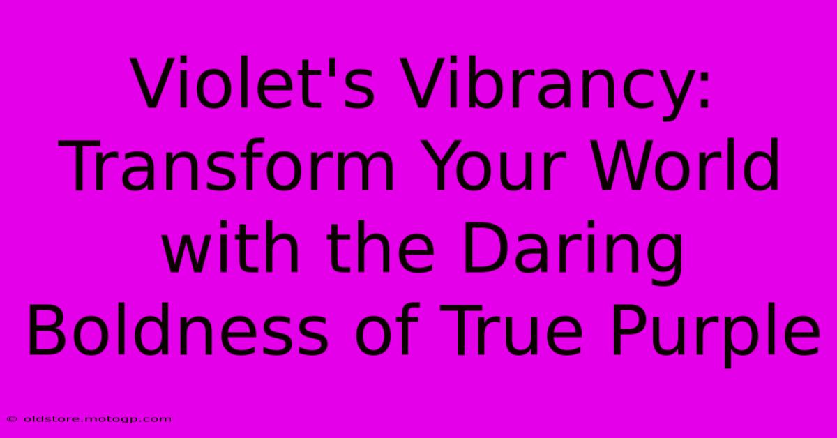 Violet's Vibrancy: Transform Your World With The Daring Boldness Of True Purple