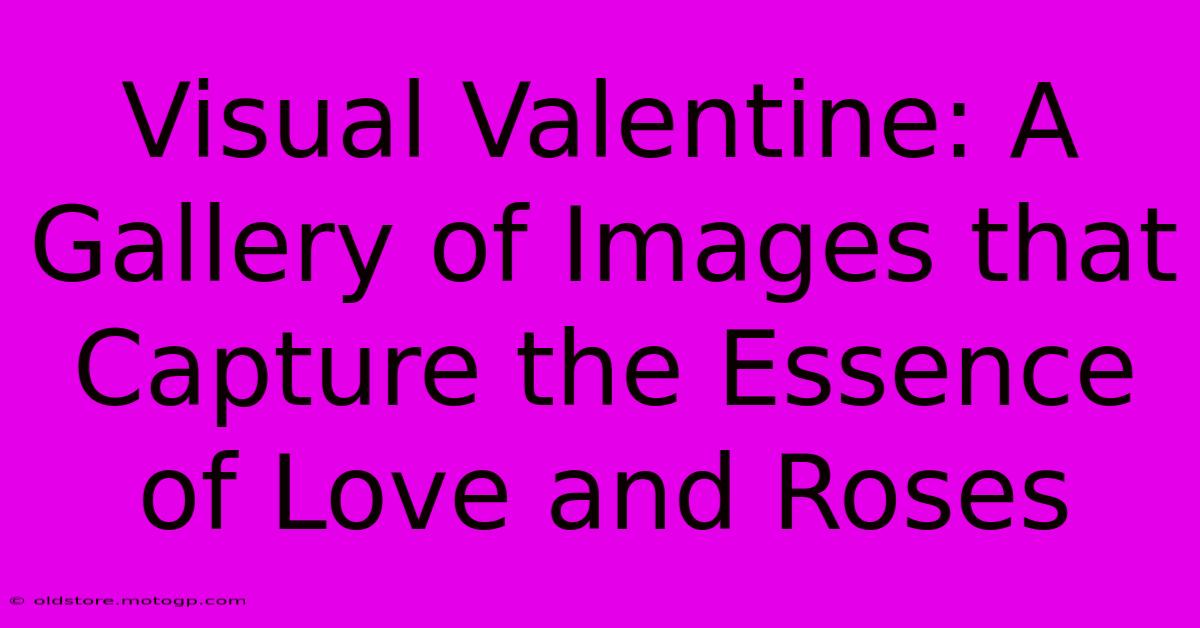 Visual Valentine: A Gallery Of Images That Capture The Essence Of Love And Roses