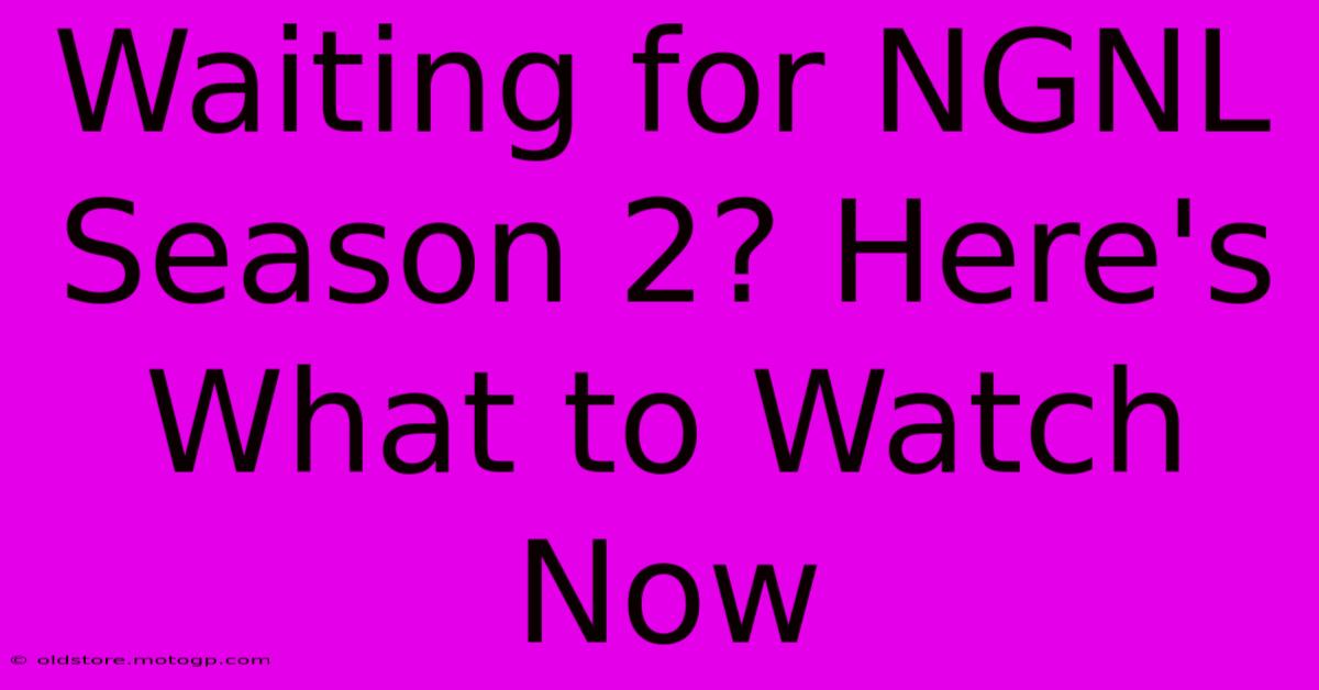 Waiting For NGNL Season 2? Here's What To Watch Now