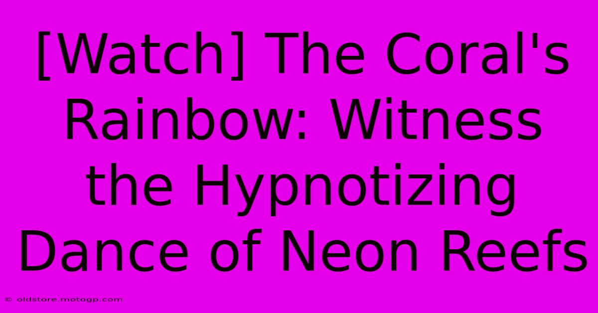 [Watch] The Coral's Rainbow: Witness The Hypnotizing Dance Of Neon Reefs